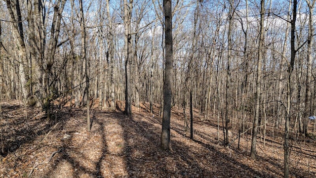 0 Live Oak Trl NE, Cleveland, TN 37312 - photo 7