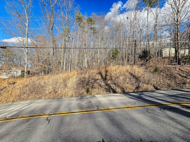 0 Live Oak Trl NE, Cleveland, TN 37312 - photo 4