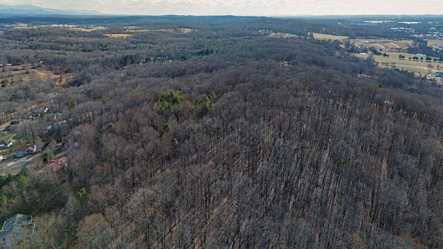 0 Live Oak Trl NE, Cleveland, TN 37312 - photo 25