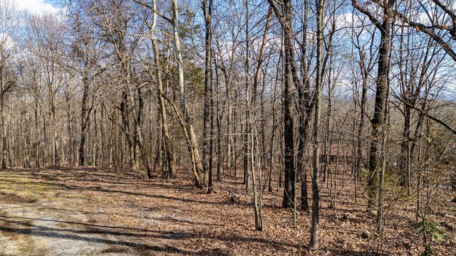 0 Live Oak Trl NE, Cleveland, TN 37312 - photo 6