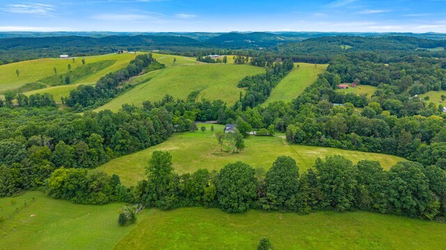 431 County Road 220, Athens, TN 37303 - photo 41