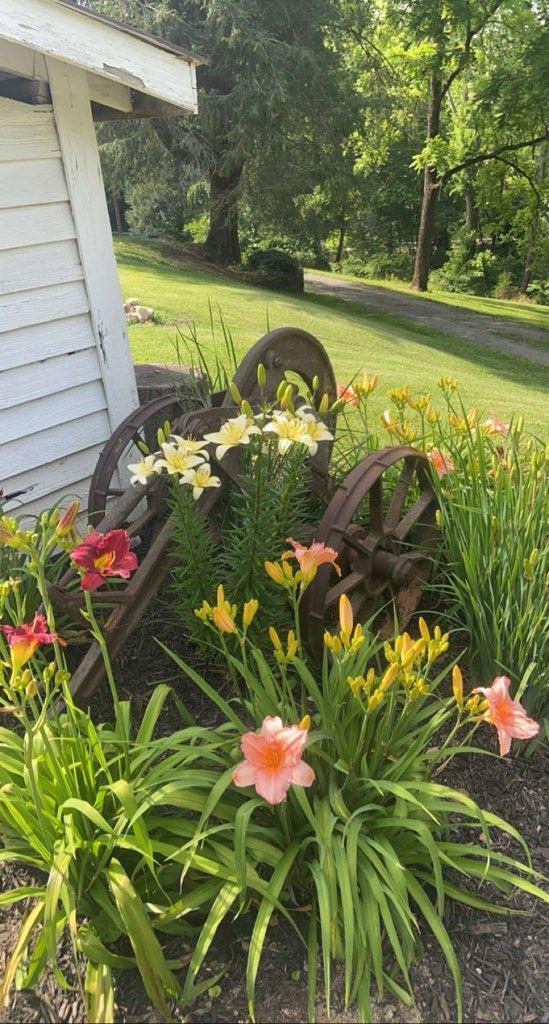 431 County Road 220, Athens, TN 37303 - photo 55