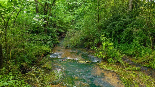 431 County Road 220, Athens, TN 37303 - photo 60