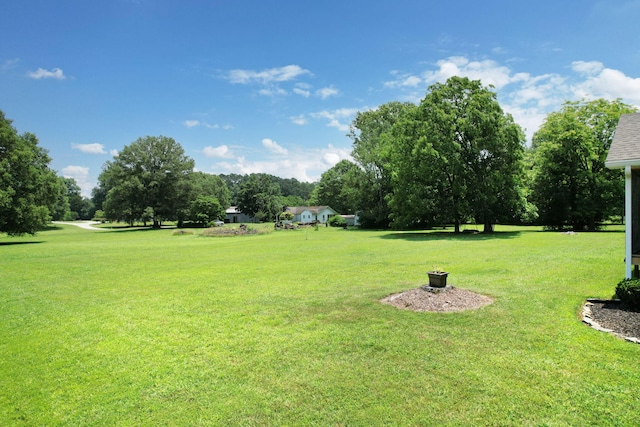 135 Charles Cir SE, Cleveland, TN 37323 - view of green lawn with view of wooded area