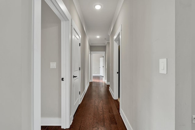 corridor featuring crown molding and dark hardwood / wood-style flooring