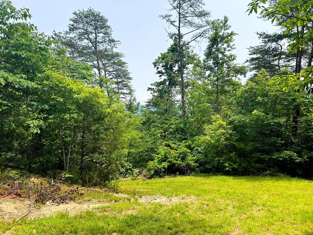 1133-1137 County Road 480, Englewood, TN 37329 - photo 26