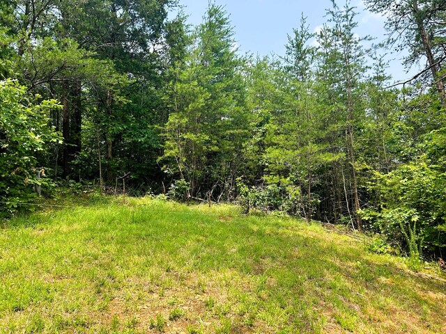 1133-1137 County Road 480, Englewood, TN 37329 - photo 19