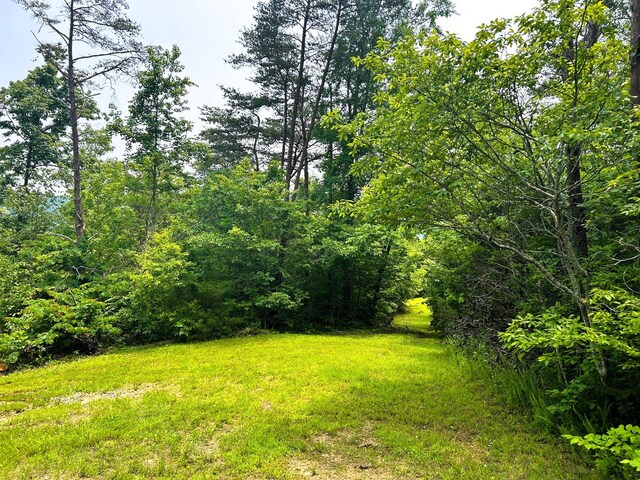 1133-1137 County Road 480, Englewood, TN 37329 - photo 6