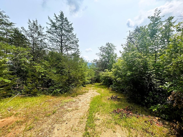 1133-1137 County Road 480, Englewood, TN 37329 - photo 23