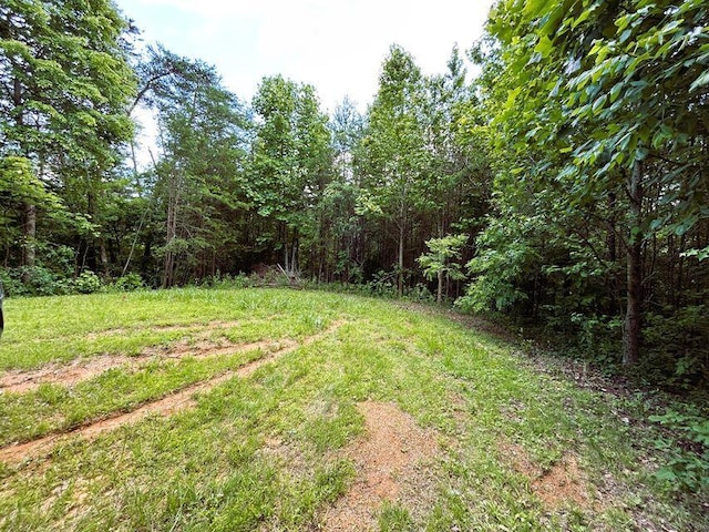 1133-1137 County Road 480, Englewood, TN 37329 - photo 11