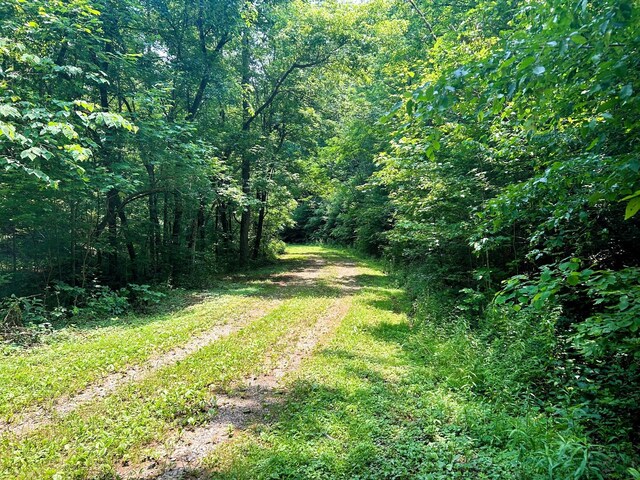 1133-1137 County Road 480, Englewood, TN 37329 - photo 3