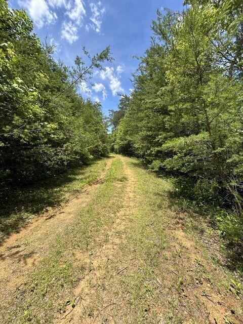 1133-1137 County Road 480, Englewood, TN 37329 - photo 12