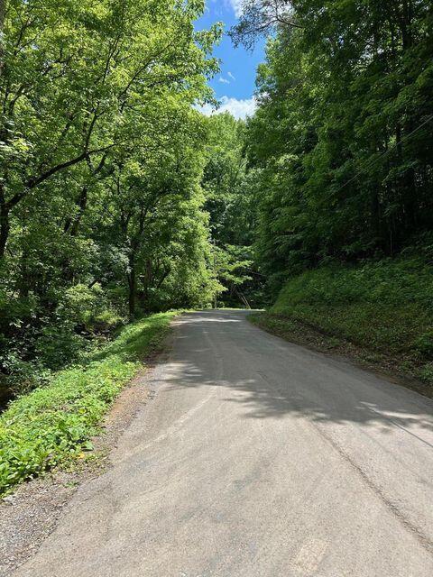 1133-1137 County Road 480, Englewood, TN 37329 - photo 8