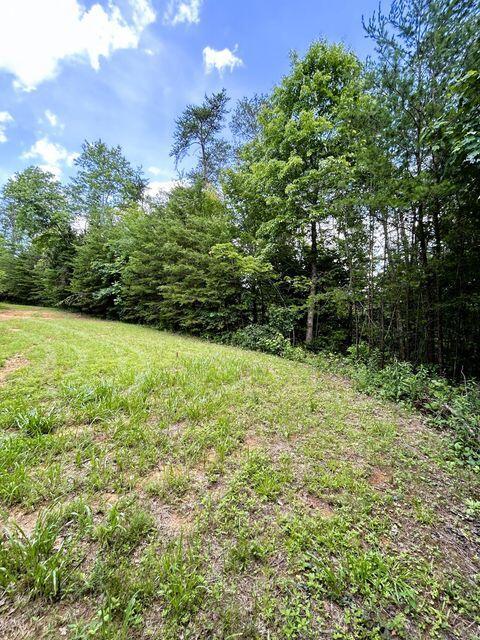 1133-1137 County Road 480, Englewood, TN 37329 - photo 10