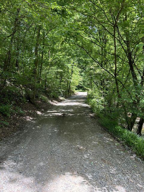 1133-1137 County Road 480, Englewood, TN 37329 - photo 7