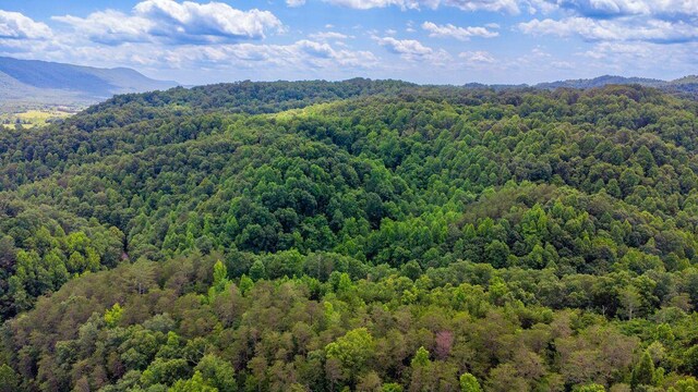 1133-1137 County Road 480, Englewood, TN 37329 - photo 16