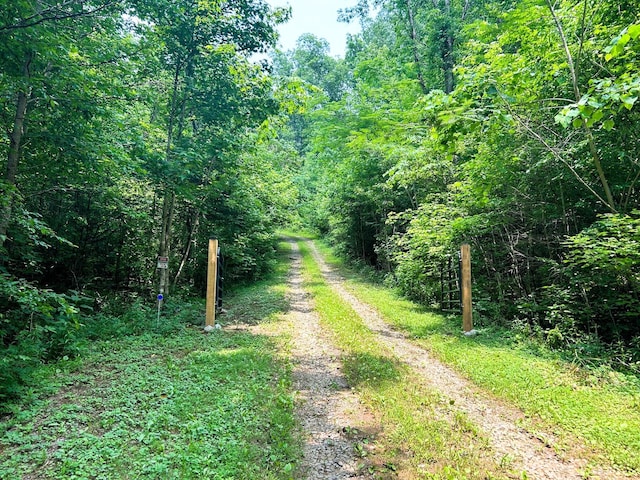 1133-1137 County Road 480, Englewood, TN 37329 - photo 2
