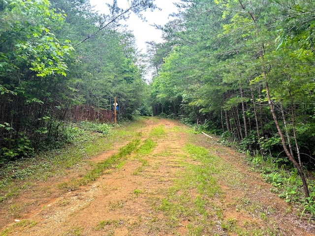 1133-1137 County Road 480, Englewood, TN 37329 - photo 22