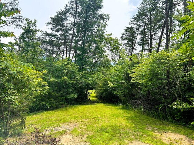 1133-1137 County Road 480, Englewood, TN 37329 - photo 24