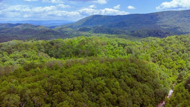 1133-1137 County Road 480, Englewood, TN 37329 - photo 17