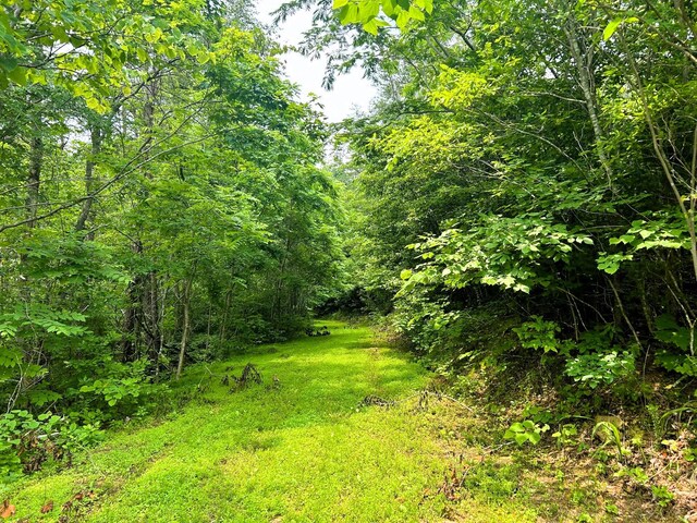 1133-1137 County Road 480, Englewood, TN 37329 - photo 25