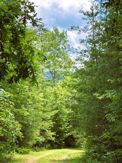 1133-1137 County Road 480, Englewood, TN 37329 - photo 14