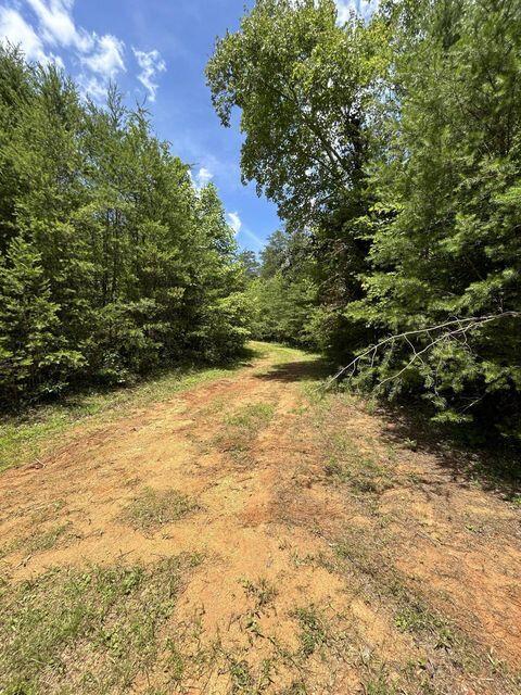 1133-1137 County Road 480, Englewood, TN 37329 - photo 13