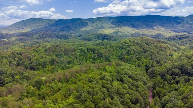 1133-1137 County Road 480, Englewood, TN 37329 - photo 15