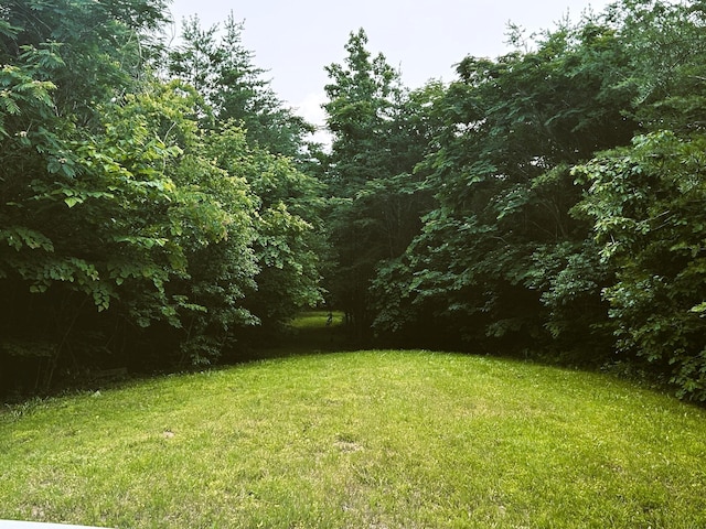 1133-1137 County Road 480, Englewood, TN 37329 - photo 4