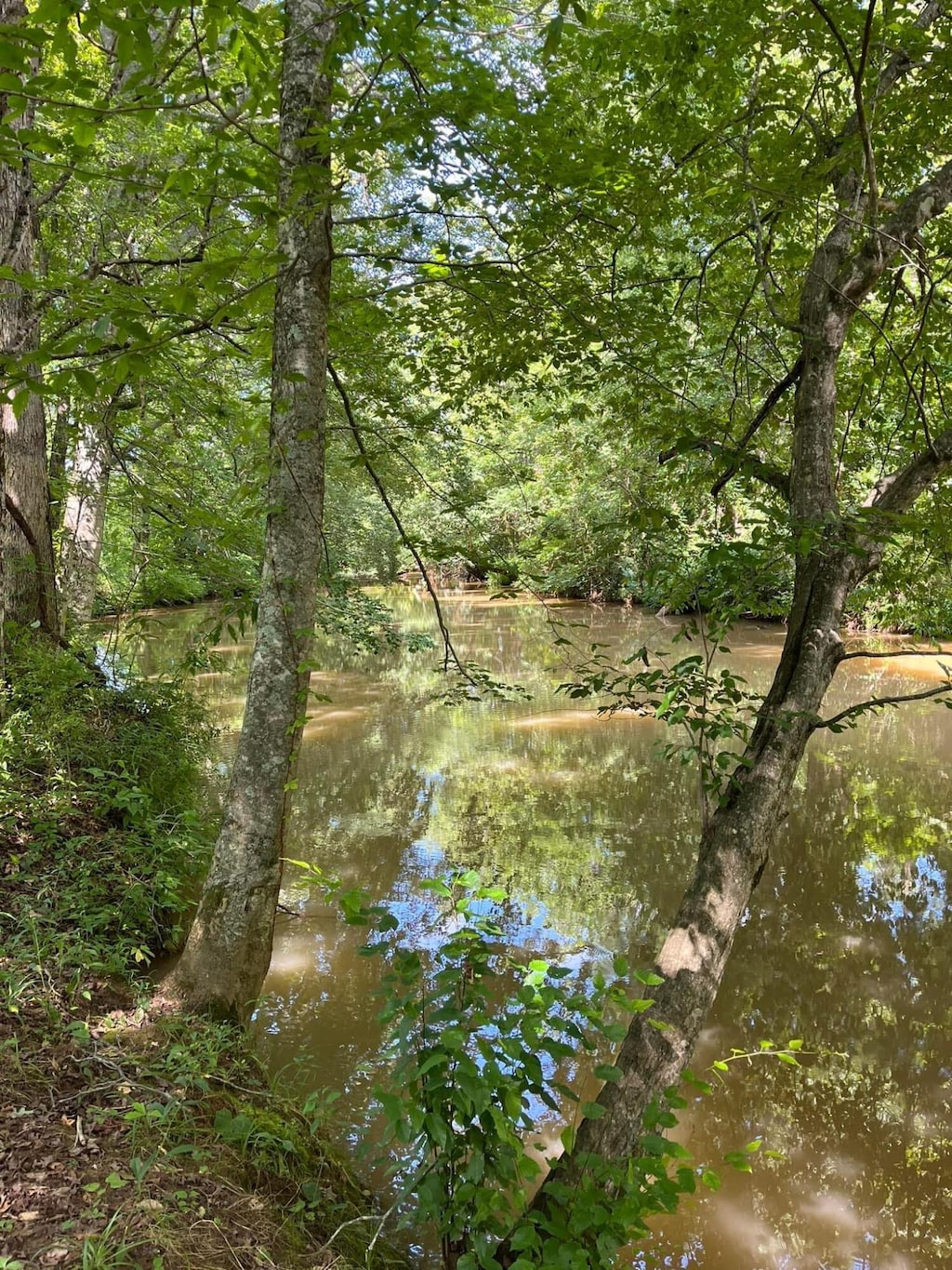 811 Trigonia Rd, Maryville, TN 37801