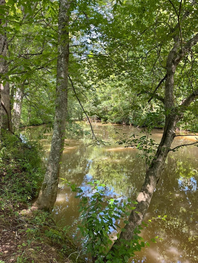 811 Trigonia Rd, Maryville, TN 37801