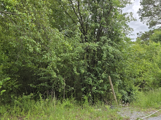 00 County Road 101, Riceville, TN 37370