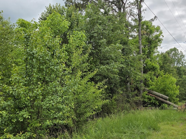 00 County Road 101, Riceville, TN 37370