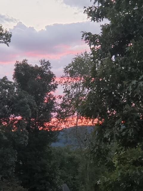 view of nature at dusk