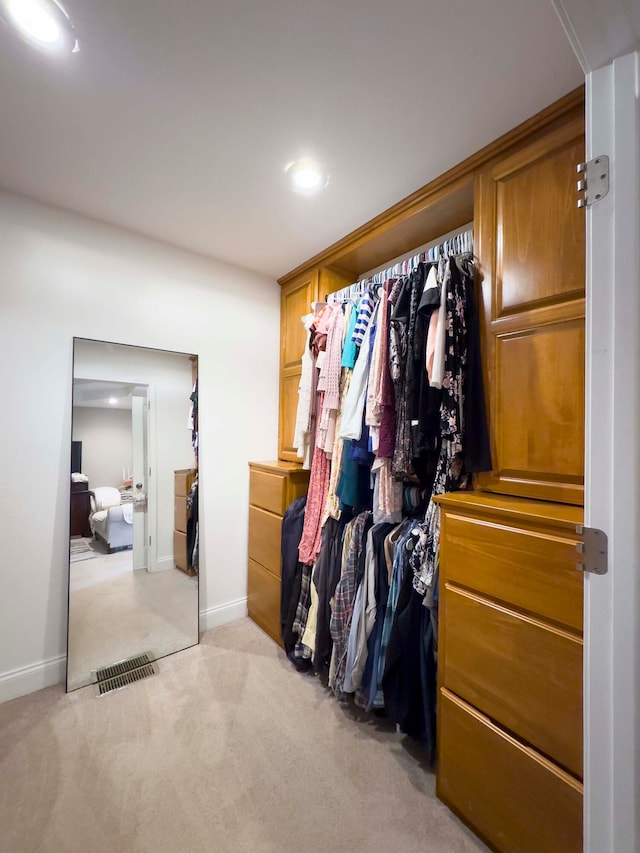 spacious closet with light colored carpet