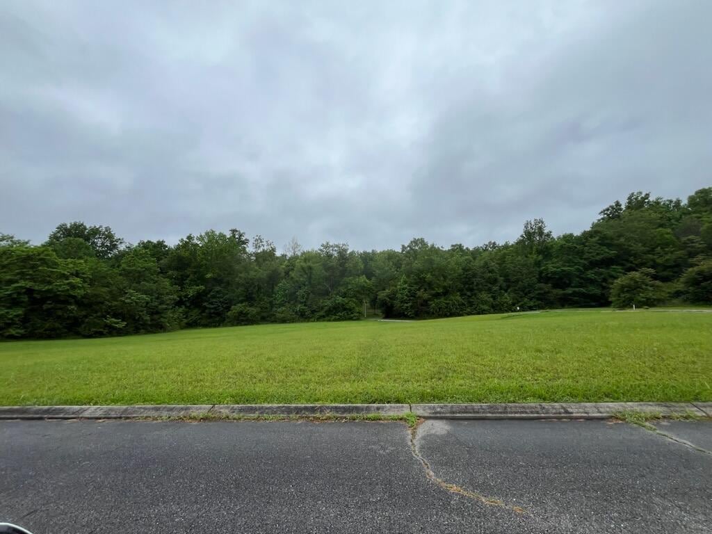 0 Frank Cir, Dayton, TN 37321 - photo 3
