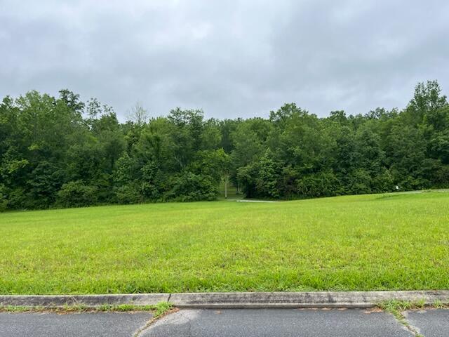 0 Frank Cir, Dayton, TN 37321 - photo 1