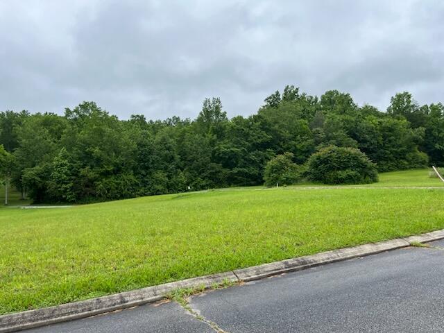 0 Frank Cir, Dayton, TN 37321 - photo 2