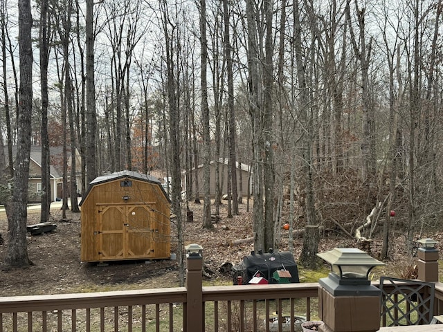 view of yard with a storage unit