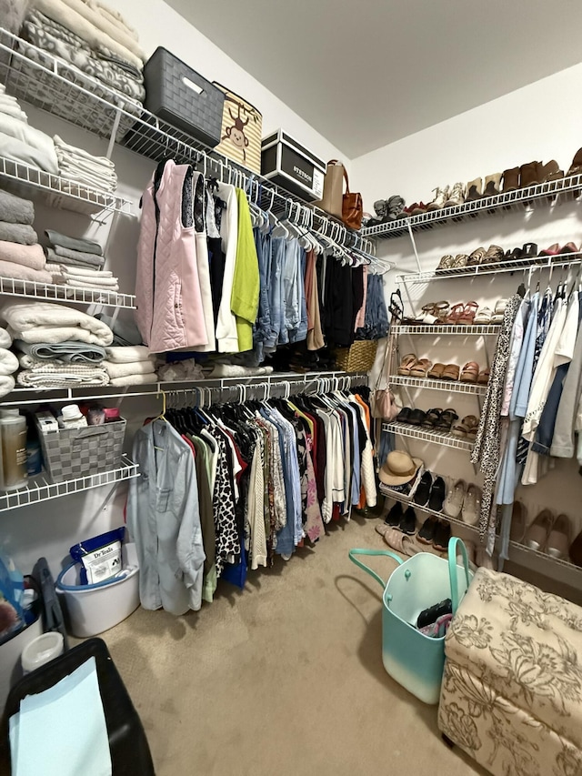 walk in closet with carpet flooring