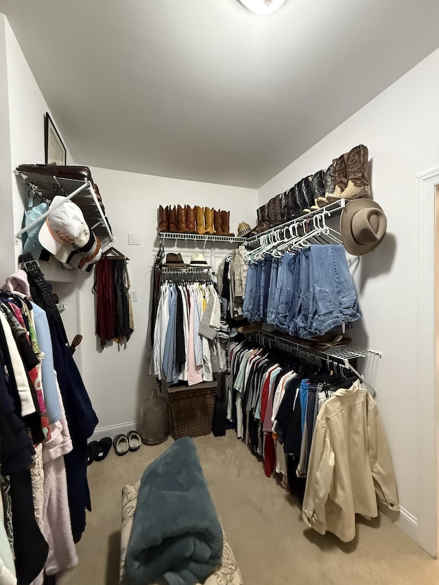 walk in closet with carpet flooring