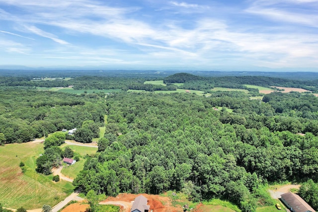 LOT1 Hungry Hollow Rd SE, Cleveland, TN 37323 - photo 5