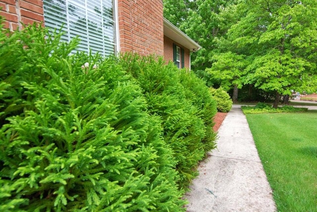 view of property exterior with a yard