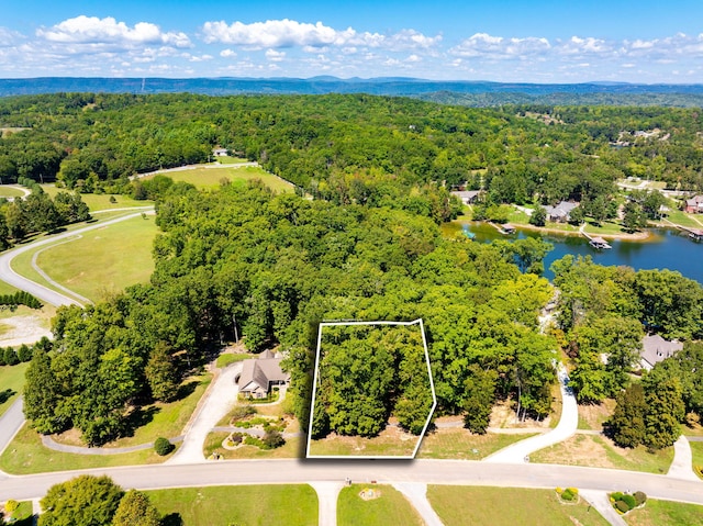 495 Waterfront Way, Spring City TN, 37381 land for sale