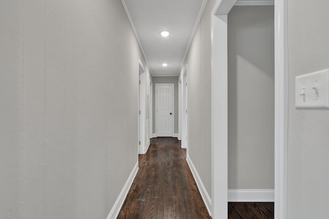 hall with crown molding and dark hardwood / wood-style flooring