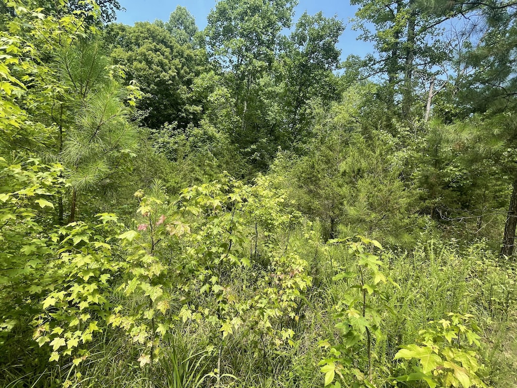 282 County Road 285, Niota, TN 37826 - photo 2