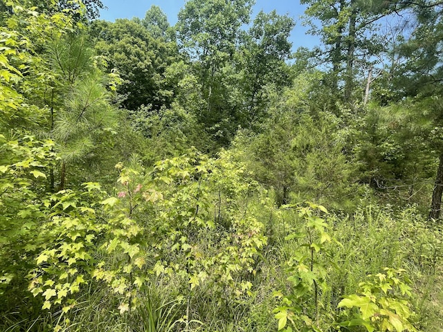 282 County Road 285, Niota, TN 37826 - photo 2