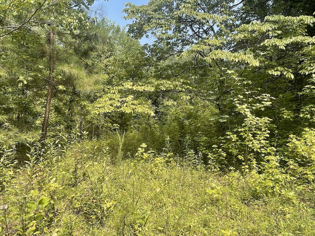 282 County Road 285, Niota, TN 37826 - photo 1