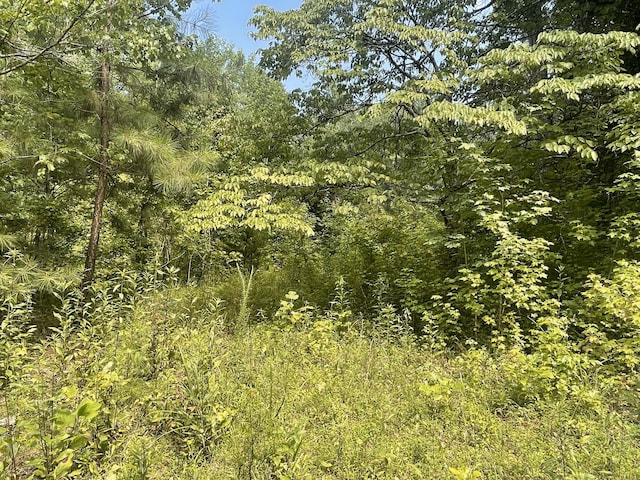 282 County Road 285, Niota, TN 37826 - photo 1
