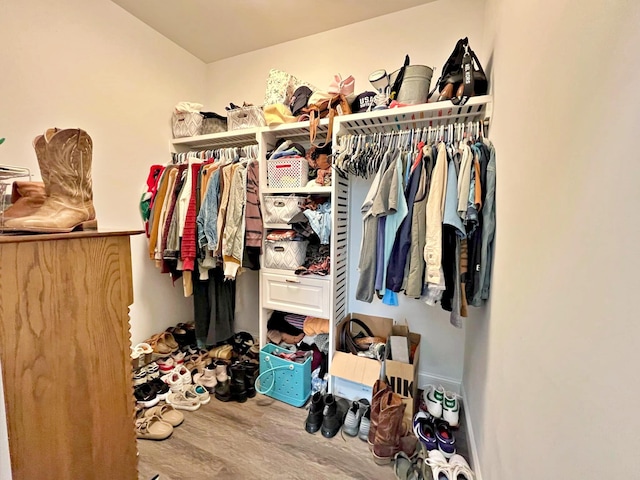 walk in closet featuring wood finished floors